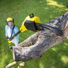 Best Soil Testing and Treatment  in Duquesne, PA